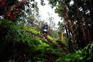 BIB: 
                            <button type="button" onclick="openModal(26201232)" class="btn btn-primary btn-sm float-right btn-popup" data-toggle="modal" data-target=".modal-high-quality">
                        <i class="fas fa-shopping-cart"></i> Add to Cart
                    </button>
                                            <button type="button" onclick="isThisMe(26201232, true)" class="btn btn-success btn-sm float-right btn-popup btn-isme hidden" data-toggle="tooltip" data-placement="bottom" title="นี่คือรูปของคุณใช่ไหม คลิกที่นี่เพื่อเอาเข้าอัลบั้ม">
                        <i class="fas fa-plus"></i> Add to album
                    </button>
                    <button type="button" onclick="isThisMe(26201232, false)" class="btn btn-warning btn-sm float-right btn-popup btn-isnotme hidden">
                        <i class="fas fa-ban"></i> Remove from album
                    </button>